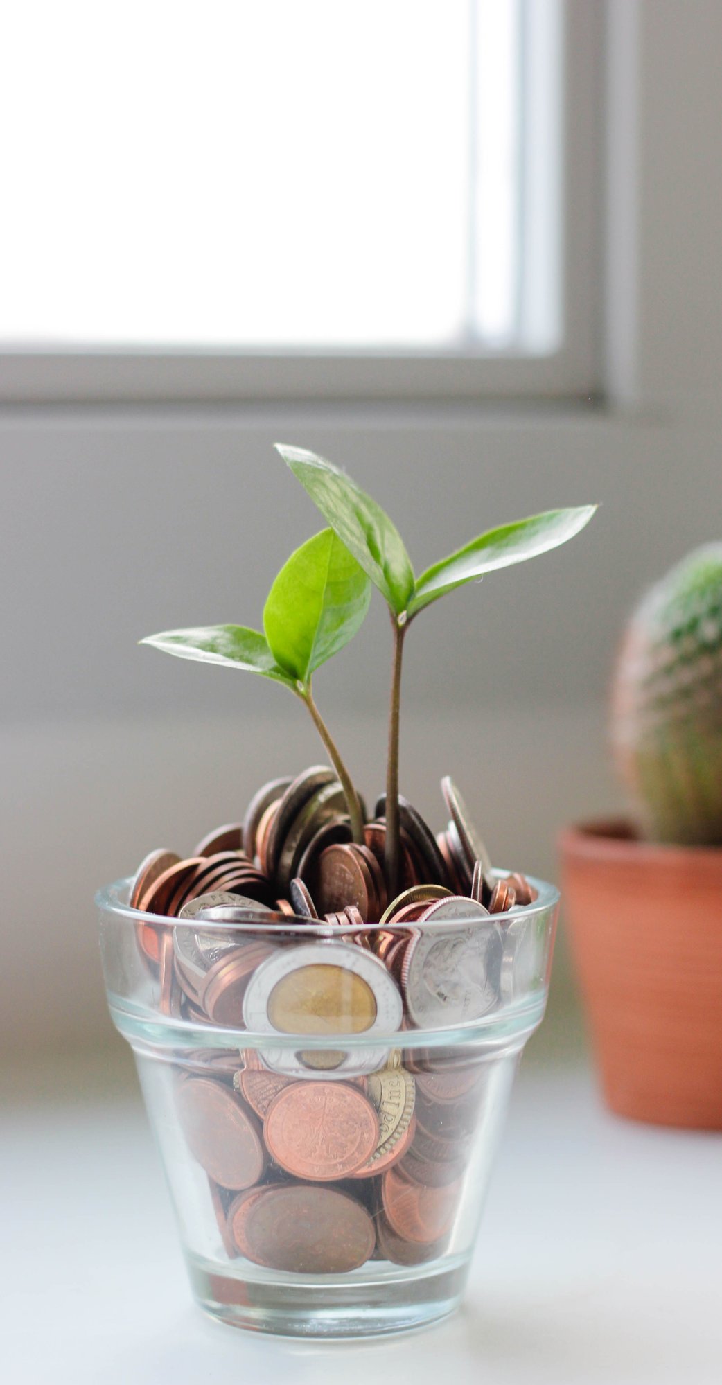 Growing mondy