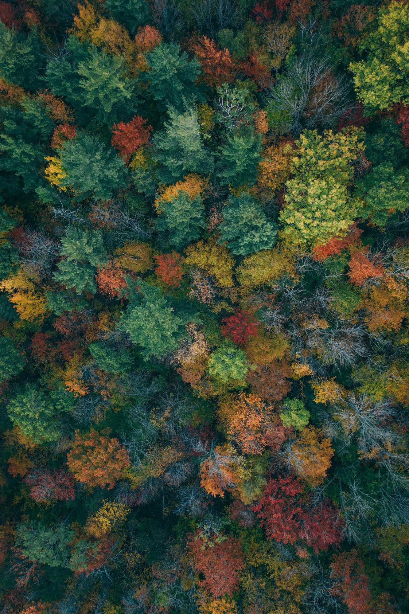 martin-sanchez-ML6kHR--Uys-unsplash martin-sanchez-ML6kHR--Uys-unsplash